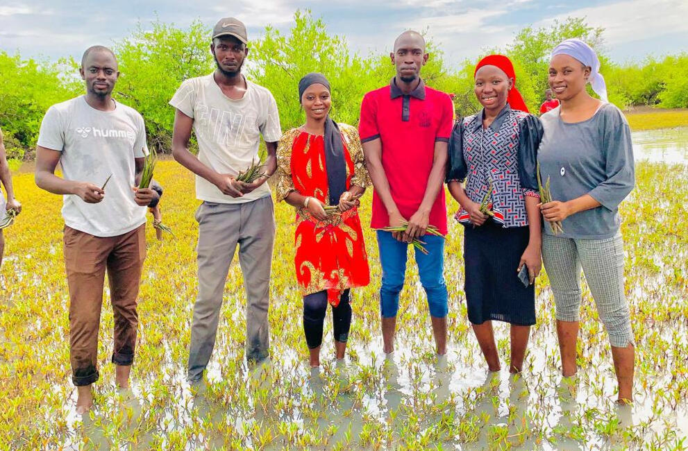 Mangrove planting campaign 2024 Mangrove planting campaign 2024