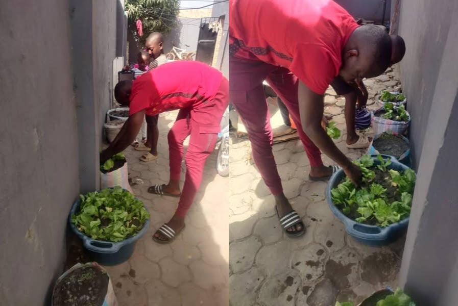 Diamond Painting Inspires Our Children! Sustainable farming